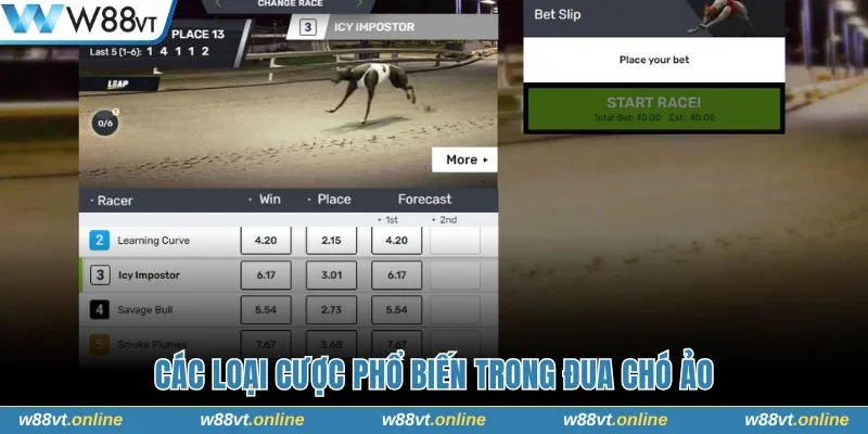 Các loại cược trong Đua Chó Ảo