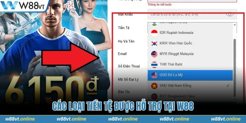 Các loại tiền tệ được hỗ trợ