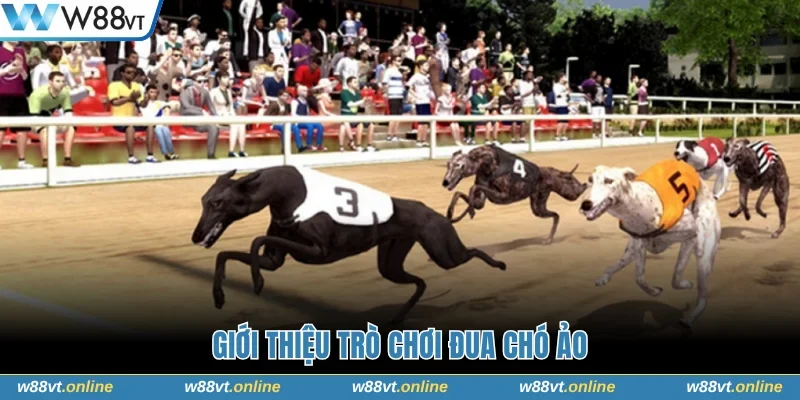 Giới thiệu game Đua Chó Ảo