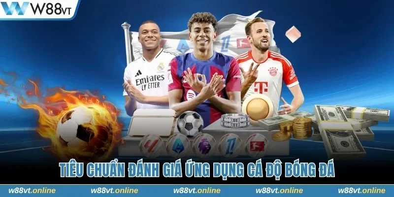 Tiêu chuẩn đánh giá ứng dụng cá độ bóng đá